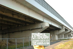 本州四国連絡橋公団　早島六間川橋追跡調査の写真1
